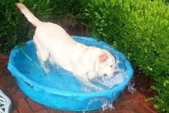 ChasePool3